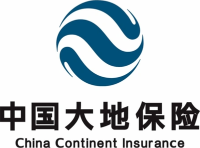 中国大地保险