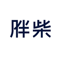 飞书胖柴